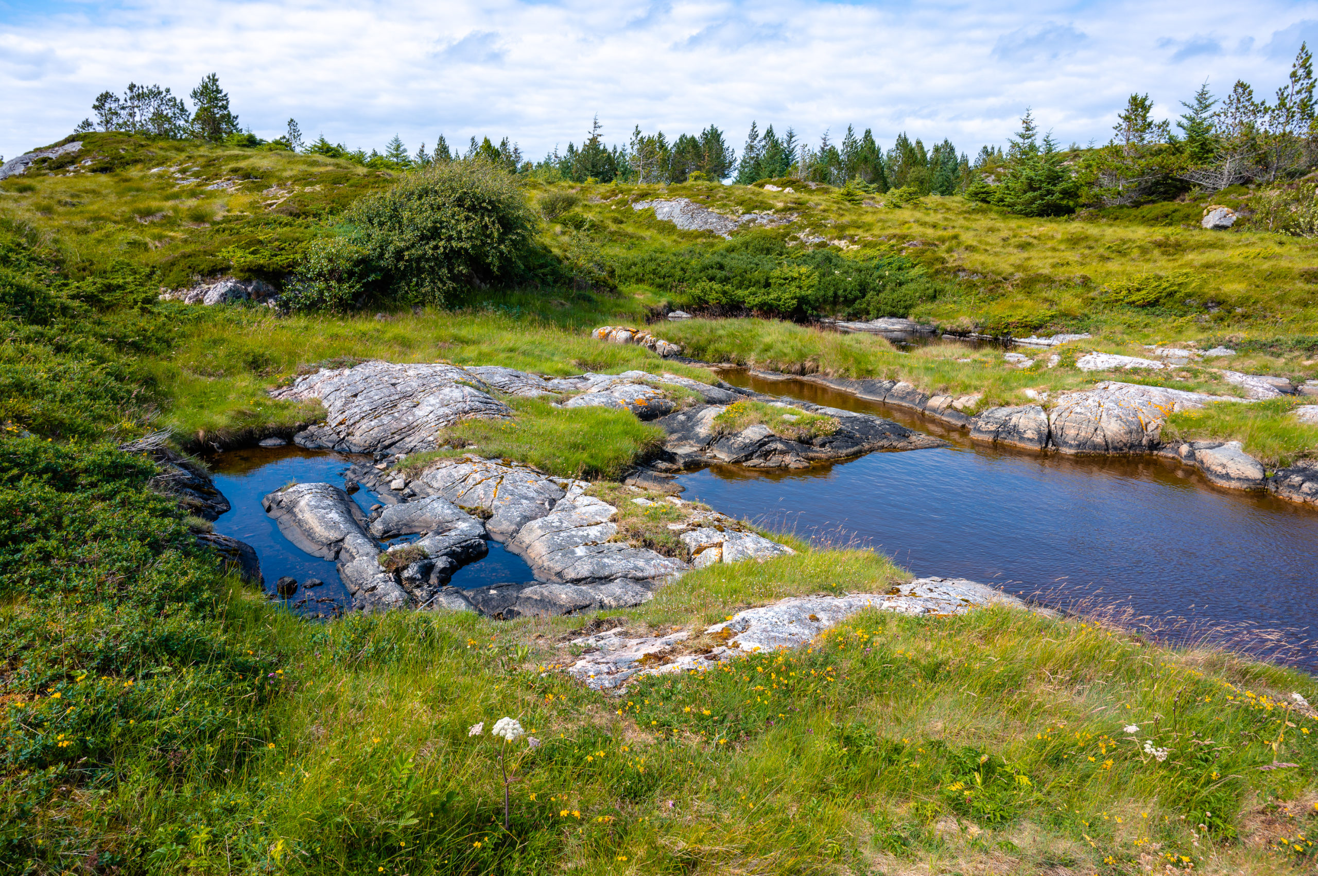 Mehr über den Artikel erfahren Norwegen 2021, Donnerstag der 15.07