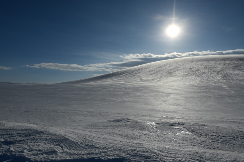 Mehr über den Artikel erfahren Tag 11 Alta – Nordkap