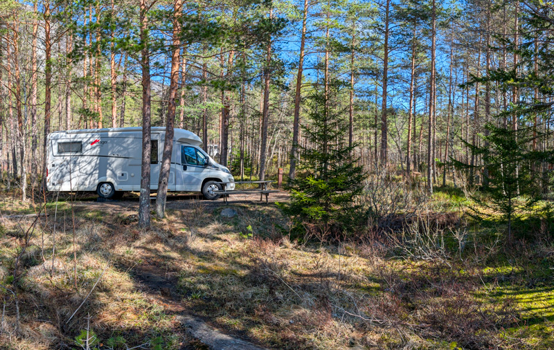 Mehr über den Artikel erfahren Skandinavien 2025, Tag 37 Sanden Såre Bobilpark – Seljord Camping